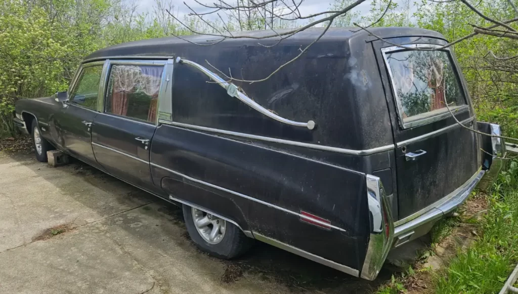 Old black vintage 1973 Cadillac Fleetwood Hearse parked on a cracked driveway with overgrown bushes around it, dusty rear exterior.