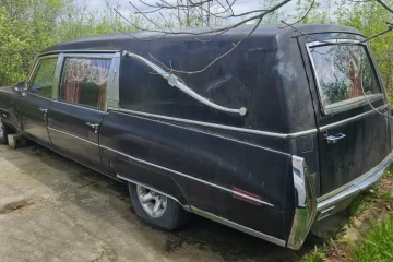 Old black vintage 1973 Cadillac Fleetwood Hearse parked on a cracked driveway with overgrown bushes around it, dusty rear exterior.
