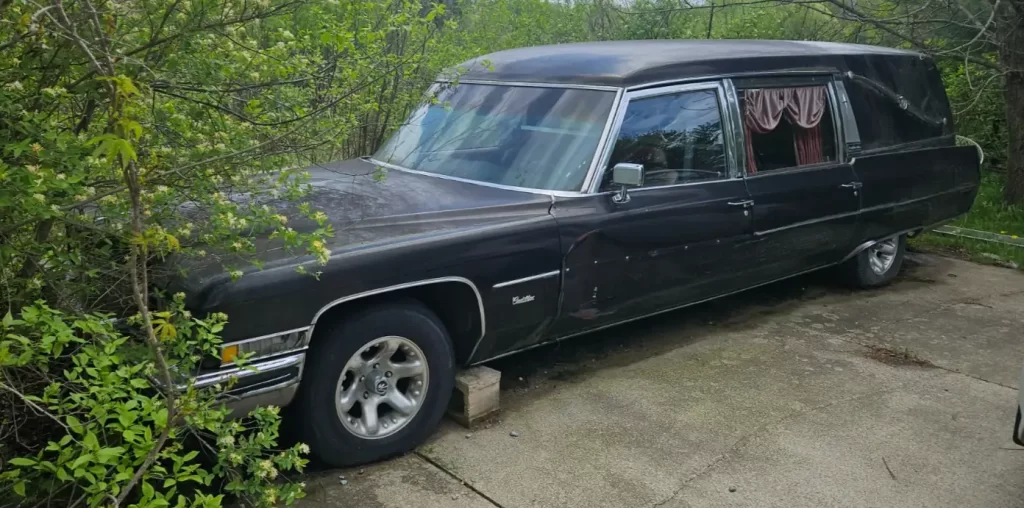 Old black 1973 Cadillac Fleetwood Hearse parked on a driveway, with overgrown bushes brushing the front and a red-curtained rear window visible