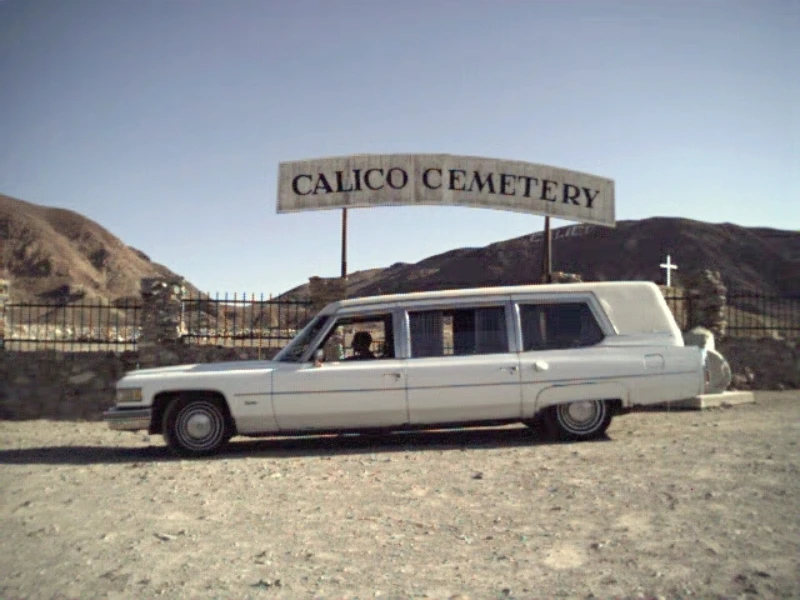 1976 Cadillac Superior Hearse Combo - Calico, CA 6
