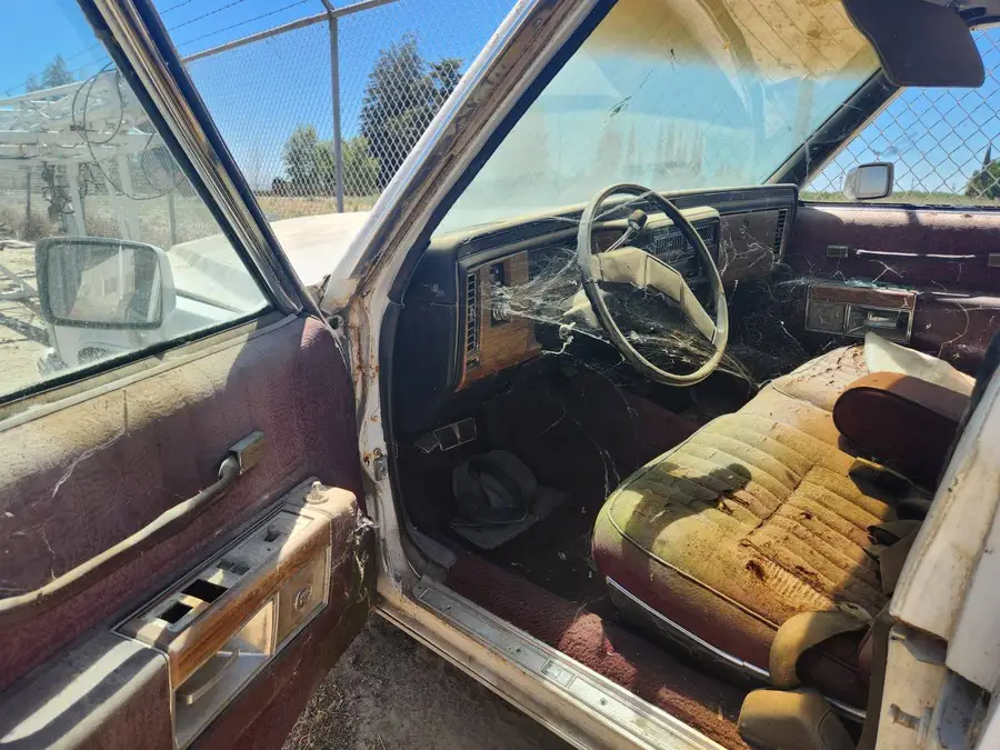 1983 Cadillac 5th Realm Haunted House Hearse 1983 Cadillac "5th Realm" Haunted House Hearse drivers cab fully of cobwebs