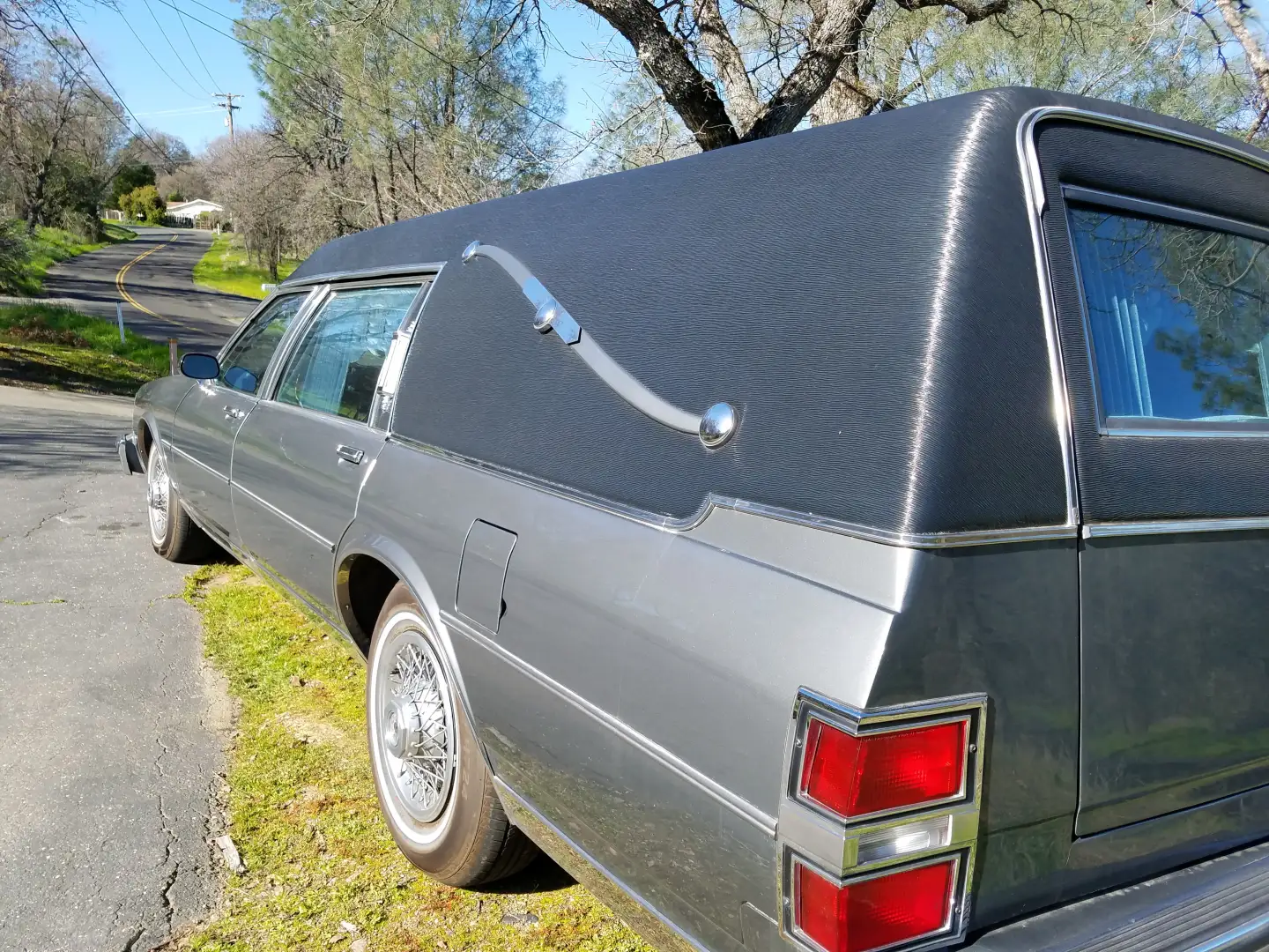 1989 Buick Hearse by S&S