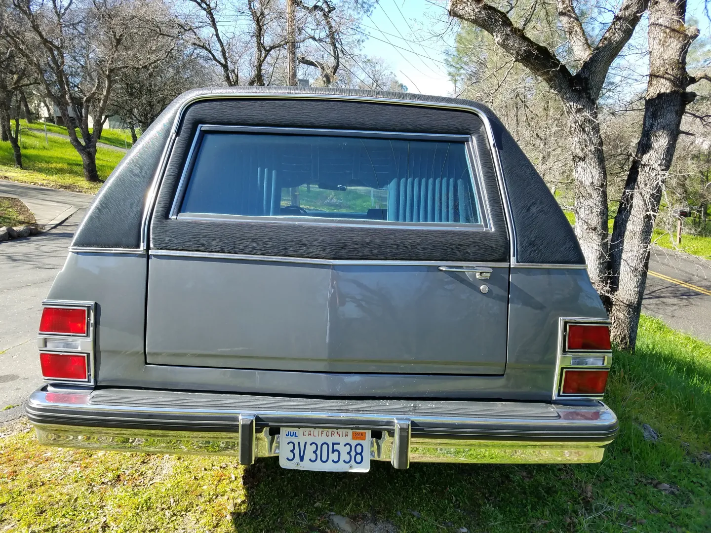 1989 Buick Hearse by S&S