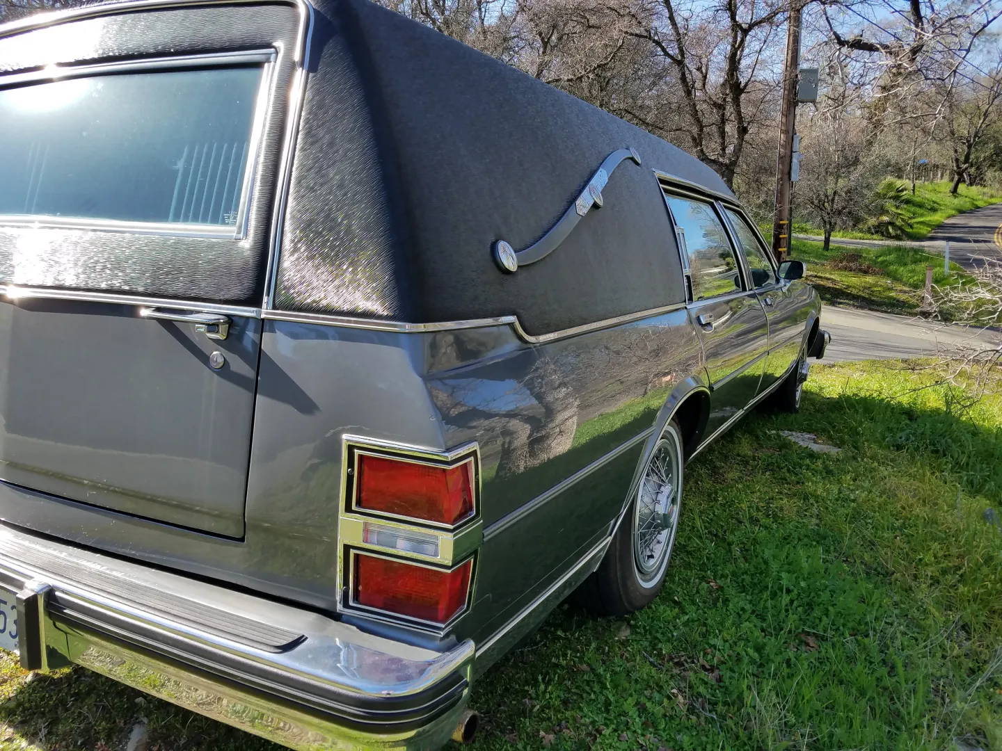 1989 Buick Hearse by S&S