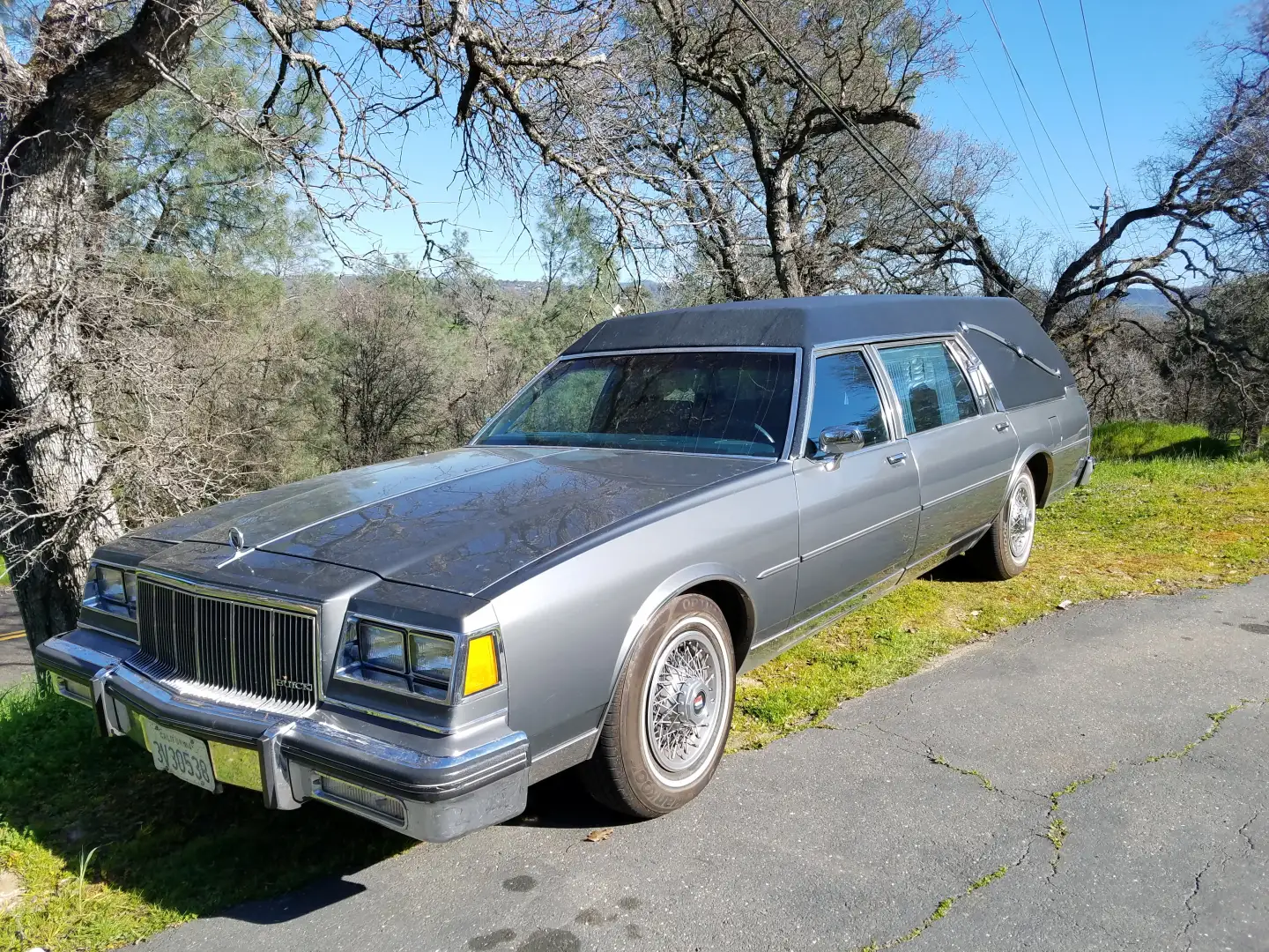 1989 Buick Hearse by S&S