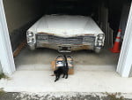 1966 Cadillac Miller Meteor Landau Hearse