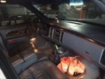 1995 Cadillac Fleetwood Brougham Hearse