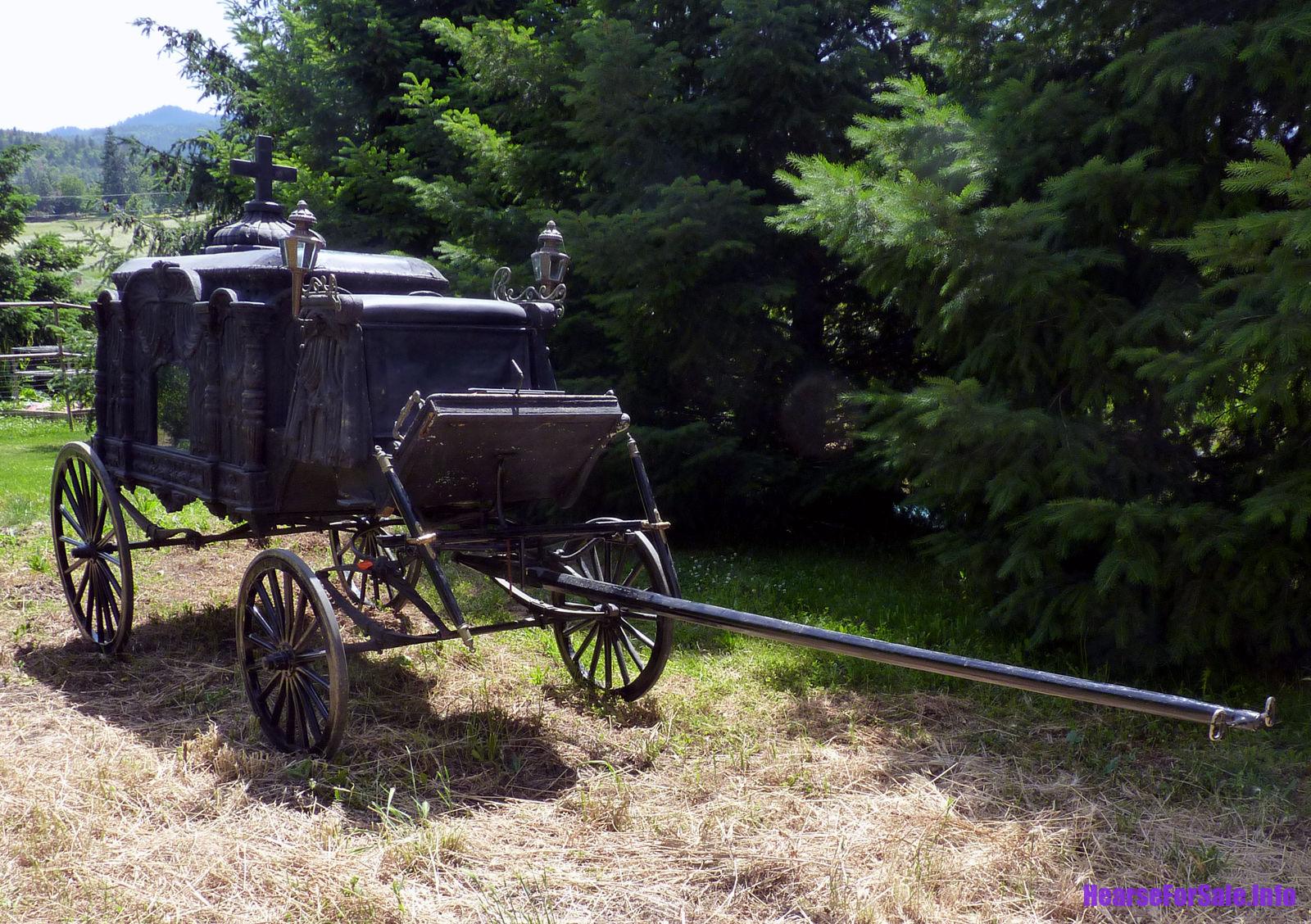 1875 Hand-carved Horse-drawn Hearse for a child or maiden. Front view.
